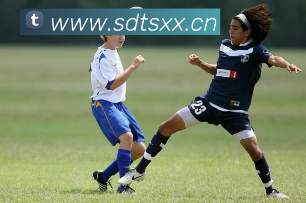 多媒体互动体验